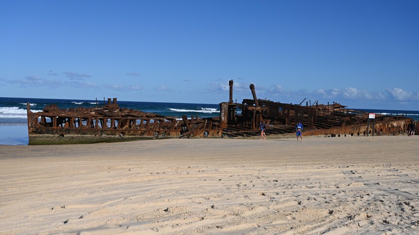 People walk around looking at a wrecked old ship on a beach.