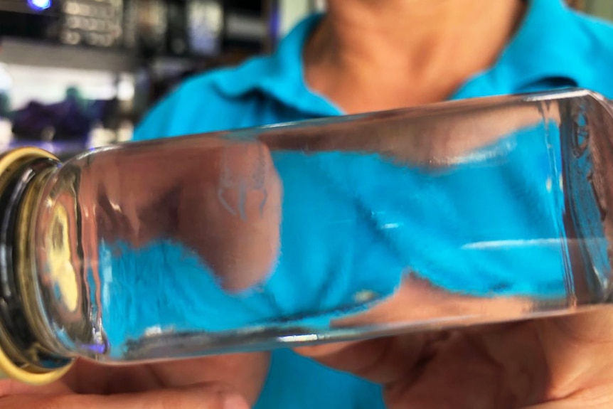 Professor Jamie Seymour holds a jar containing the irukandji jellyfish which was found off the coast of Fraser Island.