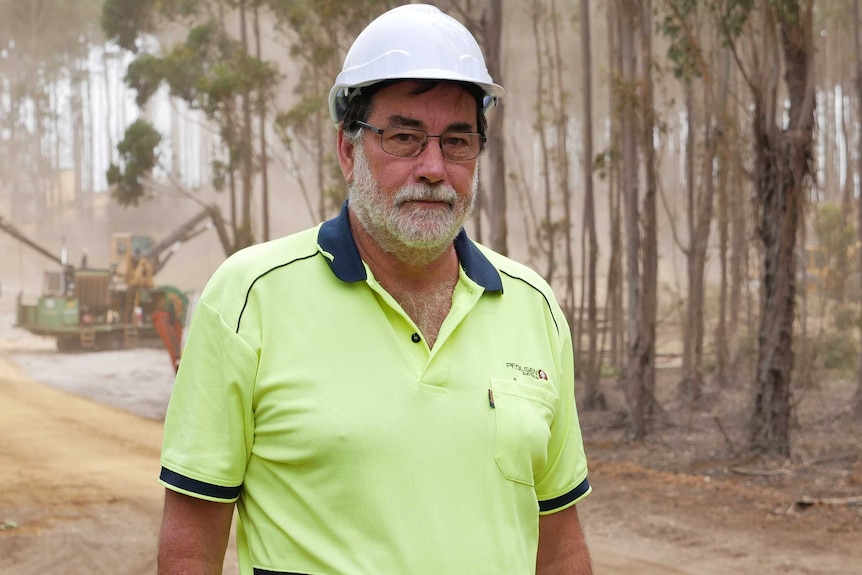 Mark Olsen standing in a blue gum plantation.