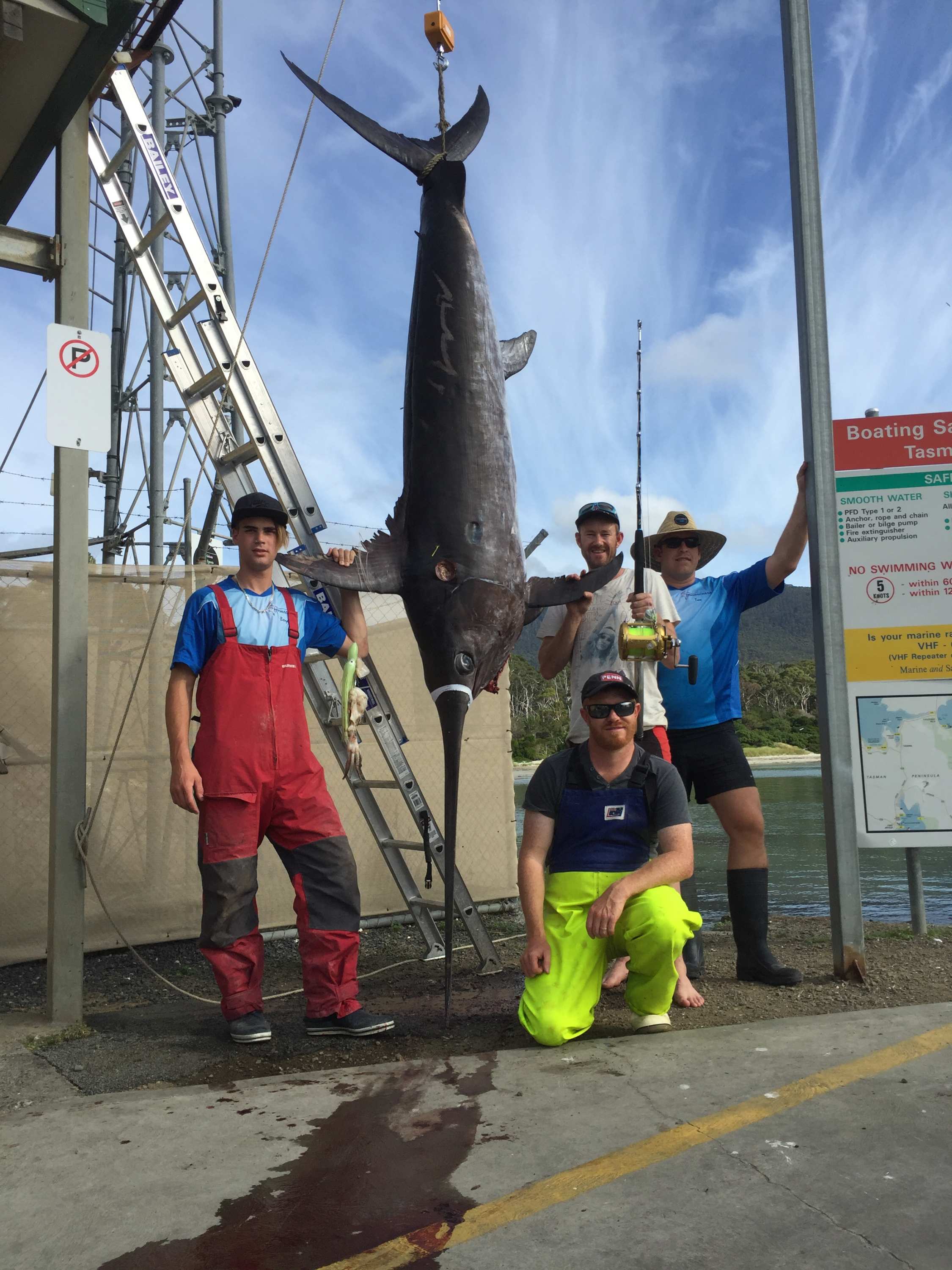 Tasmanian fisherman lands giant swordfish off Tasmanian coast ABC News