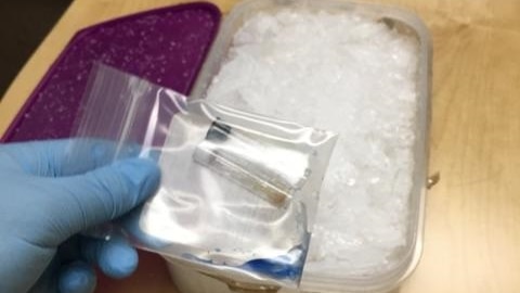 Ice and cocaine seized by police in Mexico and Columbia, destined for Australia.