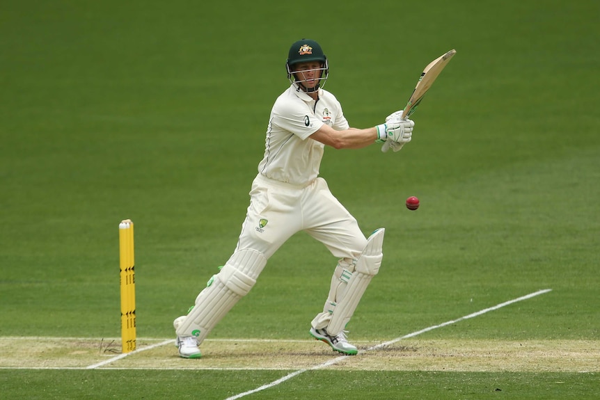 Voges takes on the Black Caps bowling attack