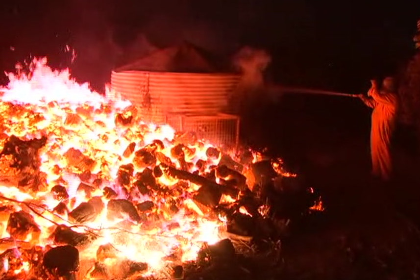 A man hoses down a flaming woodpile