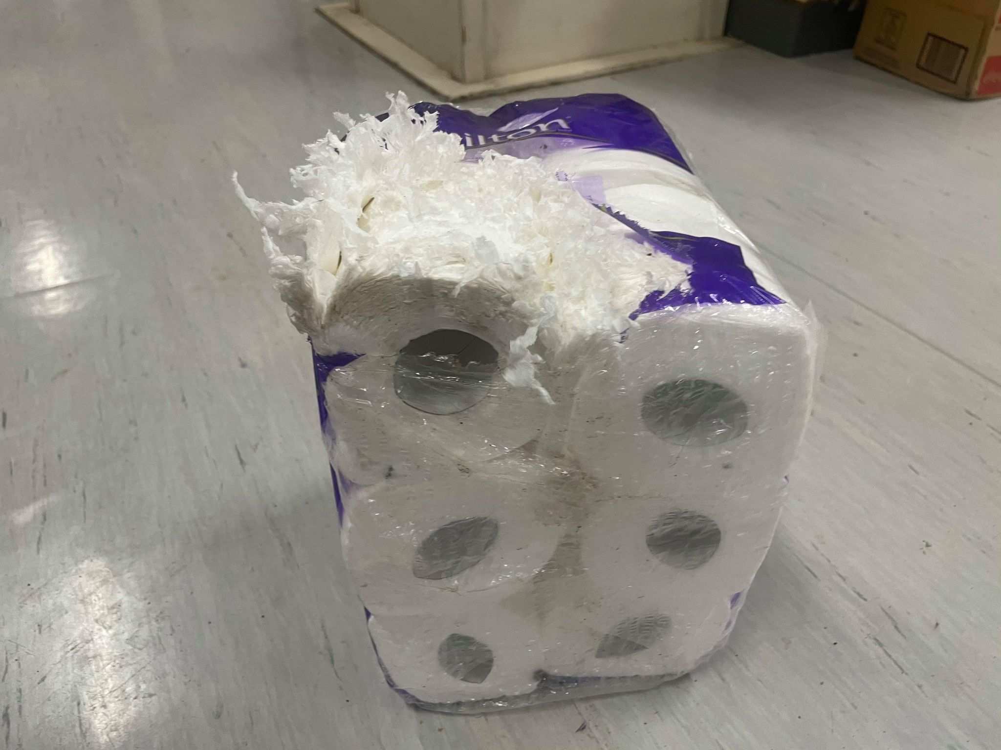 A packet of toilet paper is shredded open on one side with shredded paper pouring out.