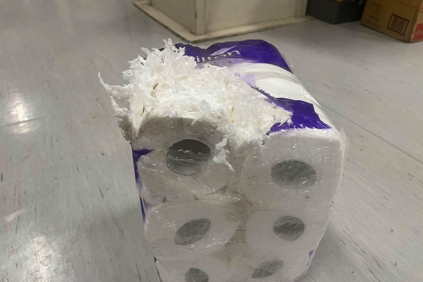 A packet of toilet paper is shredded open on one side with shredded paper pouring out.