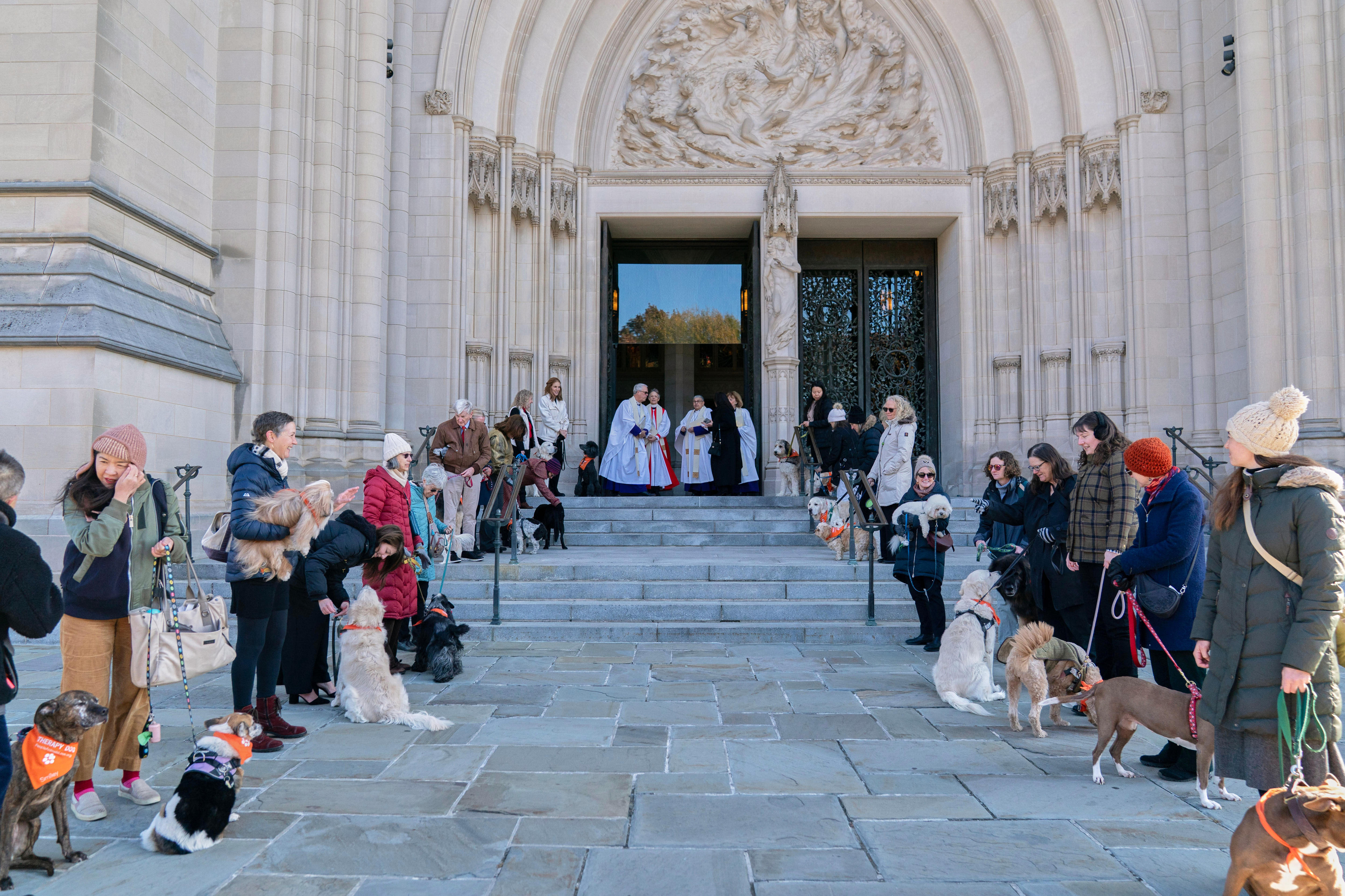 Dogs line up in front of a stone building.