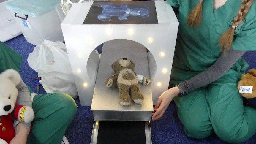 A toy bear gets a fake X-ray