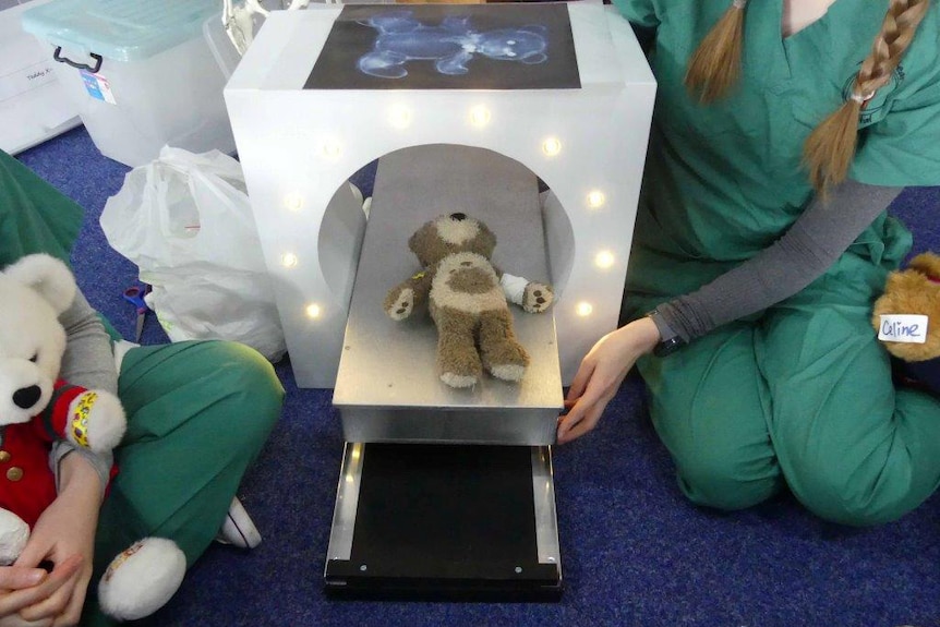 A toy bear gets a fake X-ray