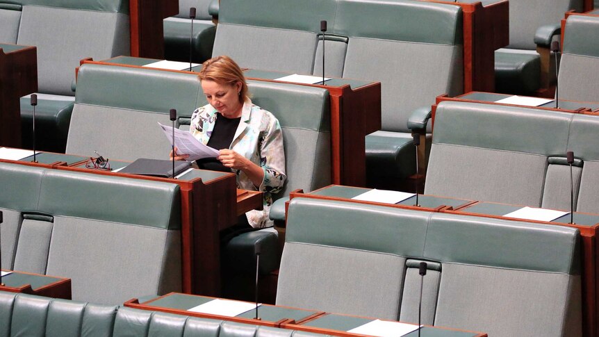 Sussan Ley sits alone reading in the House of Representatives