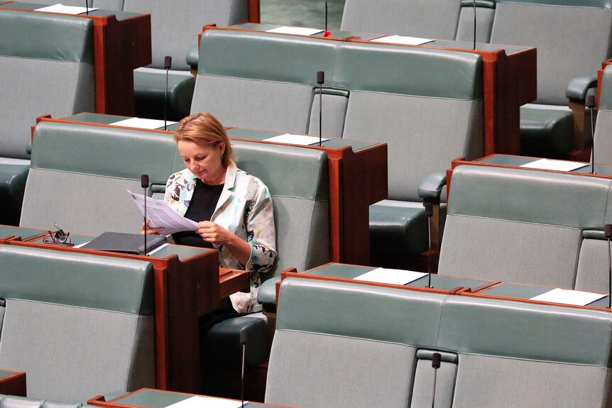 Sussan Ley sits alone reading in the House of Representatives