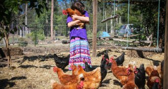 Jasmin hugs a chicken on the farm, as her feet are surrounded by about 20 of them in the pen