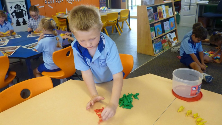 Students play in the classroom