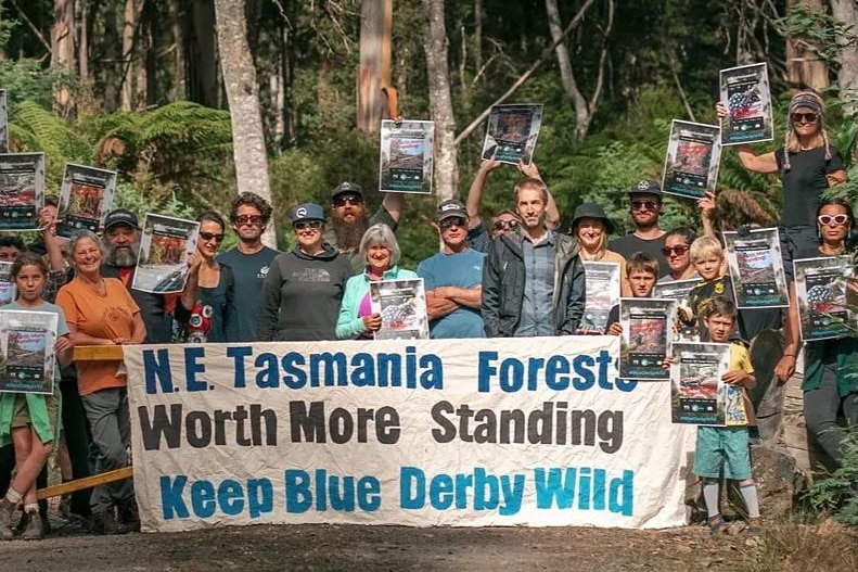A group of anti-logging protesters in Tasmanian forest.