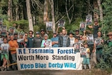A group of anti-logging protesters in Tasmanian forest.
