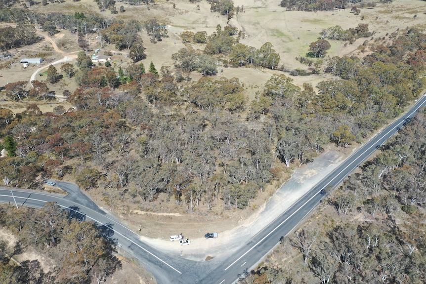 An aerial view of intersecting country roads, surrounded by bush.