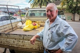 A farmer stands at the back of his truck parked in the street