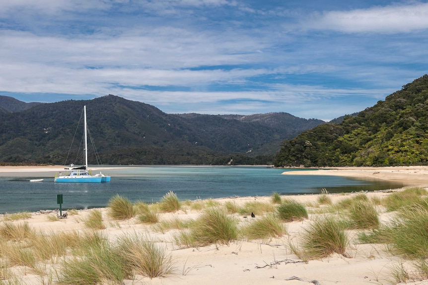 The outlook from the Awaroa Bay beach