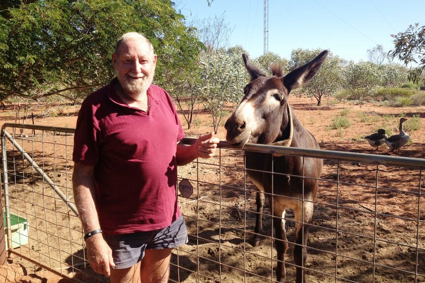 A man stands next to a donkey, which is poking its head over the fence. Geese preen in the background.