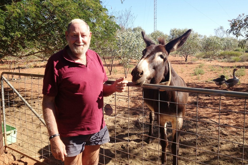 A man stands next to a donkey, which is poking its head over the fence. Geese preen in the background.