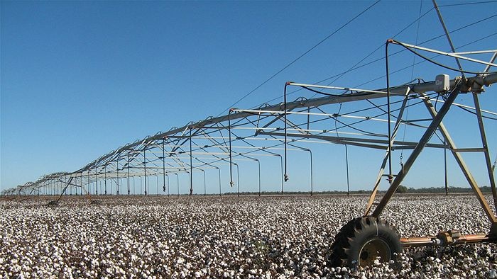 Irrigators over a cotton crop in the Murray-Darling Basin