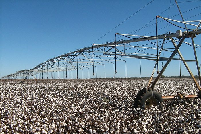 Irrigators over a cotton crop in the Murray-Darling Basin