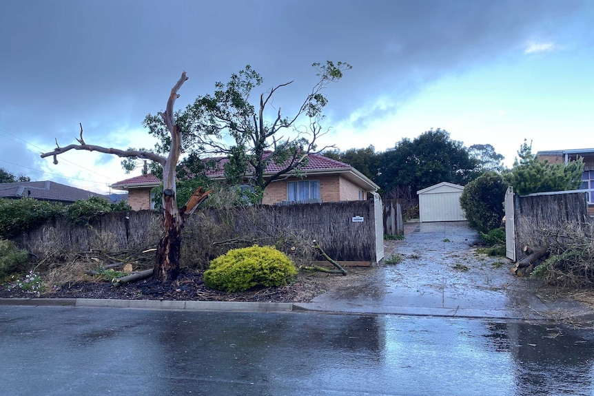 A footpath littered with tree branches.