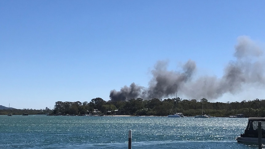 A lot of black smoke coming from behind trees.