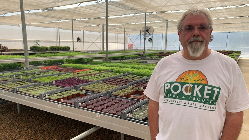 A man in a white t-shirt stands in front of tables of microgreens in pots.