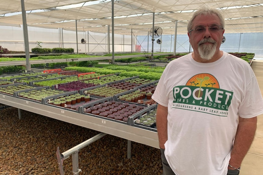 A man in a white t-shirt stands in front of tables of microgreens in pots.