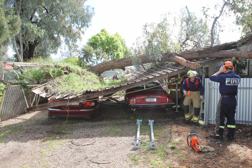 A tree has fallen on a car port in Cootamundra after strong winds.