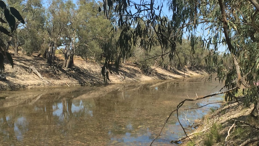 The still Darling River.