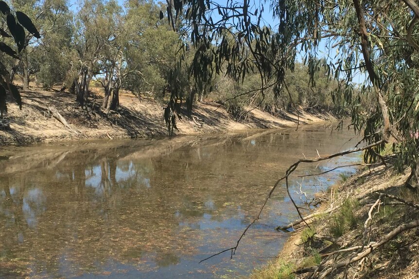 The still Darling River