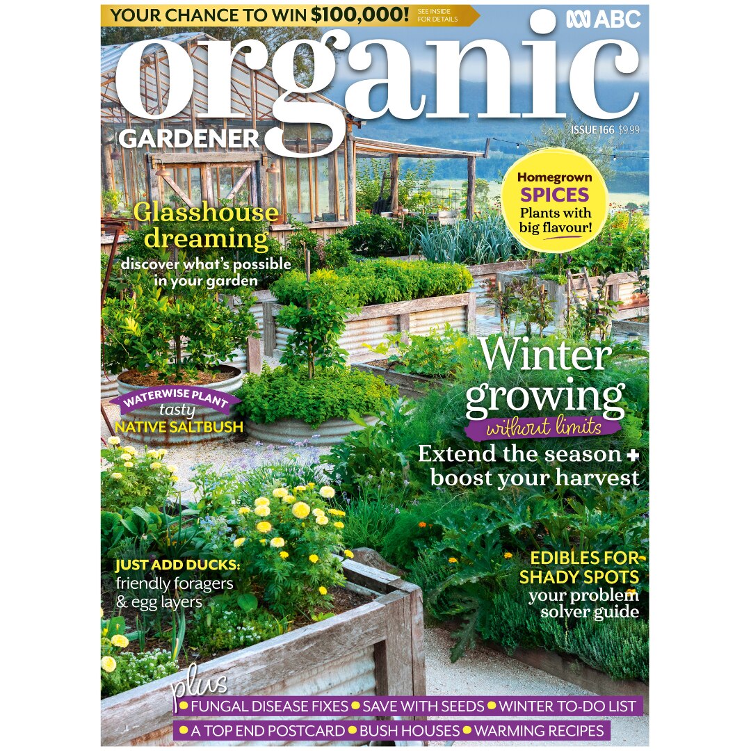 ABC Magazine Subscriptions - ABC Shop