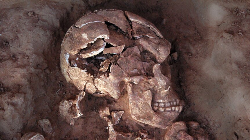 A cracked human skull sitting in the ground.
