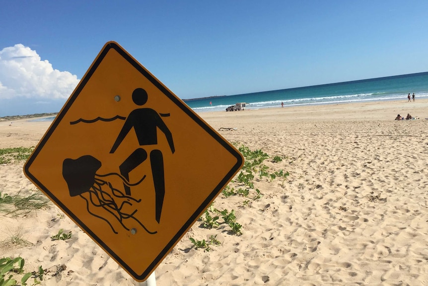 A jellyfish warning sign on a beach