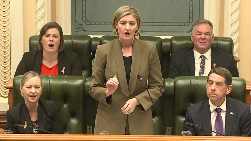 Labor politicians look shocked after a comment from the opposition.