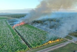 An aerial image of a sugar cane paddock being burned