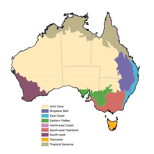 BirdLife Australia said there were significant decreases in sightings for twelve of 20 arid zone predator birds.