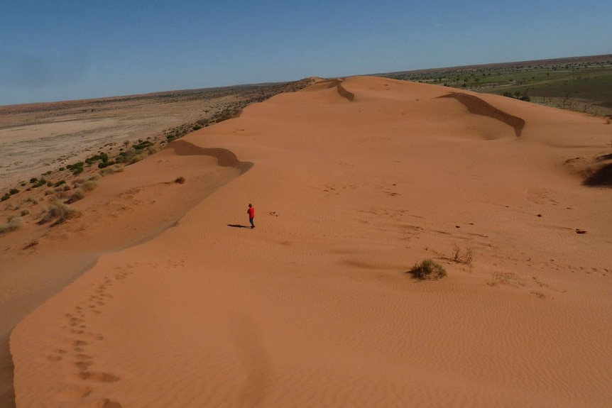 Big Red dune at Munga-Thirri National Park in Simpson Desert, west of Birdsville in far south-west Queensland in March 2014