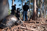 Fury Fingers film producers use a local gum forest to stage a medieval battle.