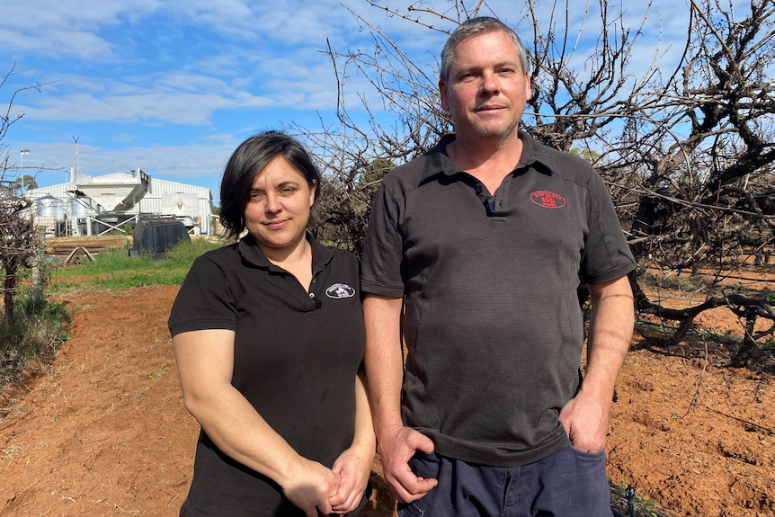A woman and a man wearing black shirts have a neutral expression, standing on brown soil surrounded by vines.