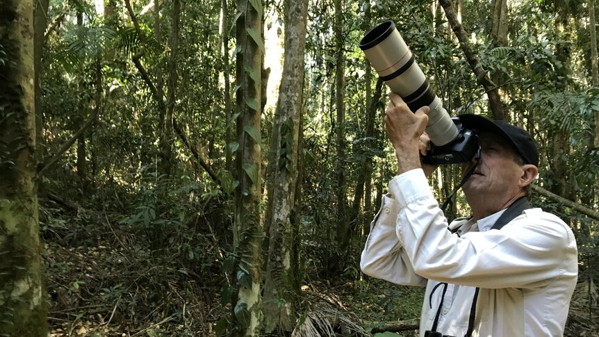 Greg Roberts looking up into the rainforest with a camera with a huge lens.