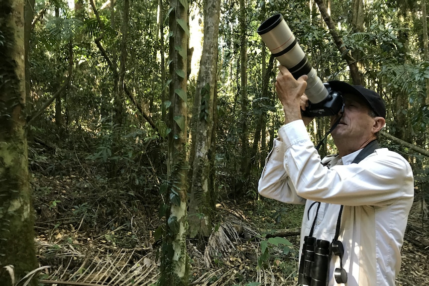 Greg Roberts looking up into the rainforest with a camera with a huge lens.