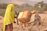 A woman walks a donkey carrying precious water in drought struck Somalia