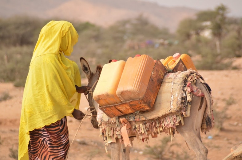 A woman walks a donkey carrying precious water in drought struck Somalia