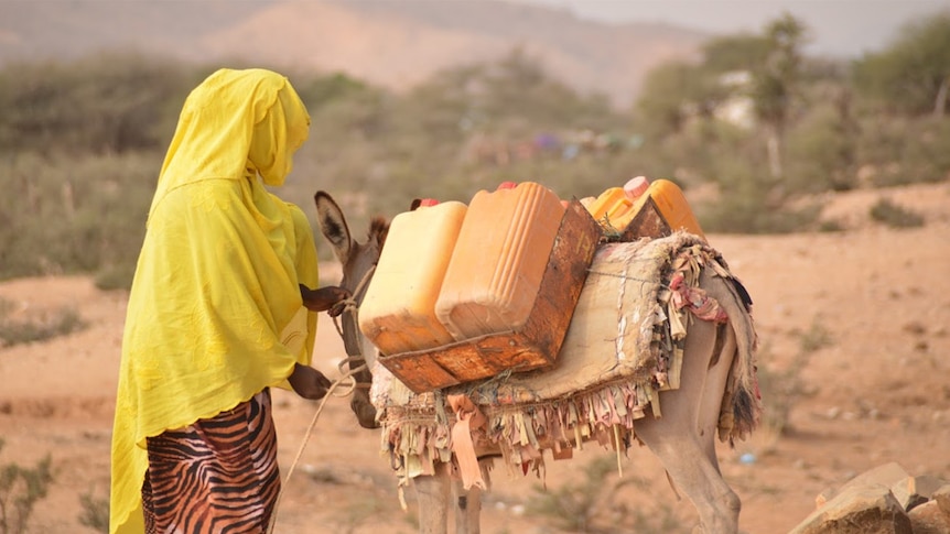 A woman walks a donkey carrying precious water in drought struck Somalia