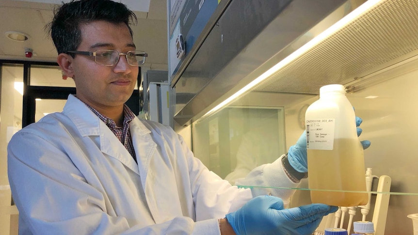 Laboratory technician with a testing sample of sewage.