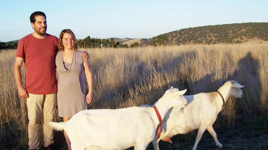 A young couple stand together smiling in a rural setting with two goats in front of them.