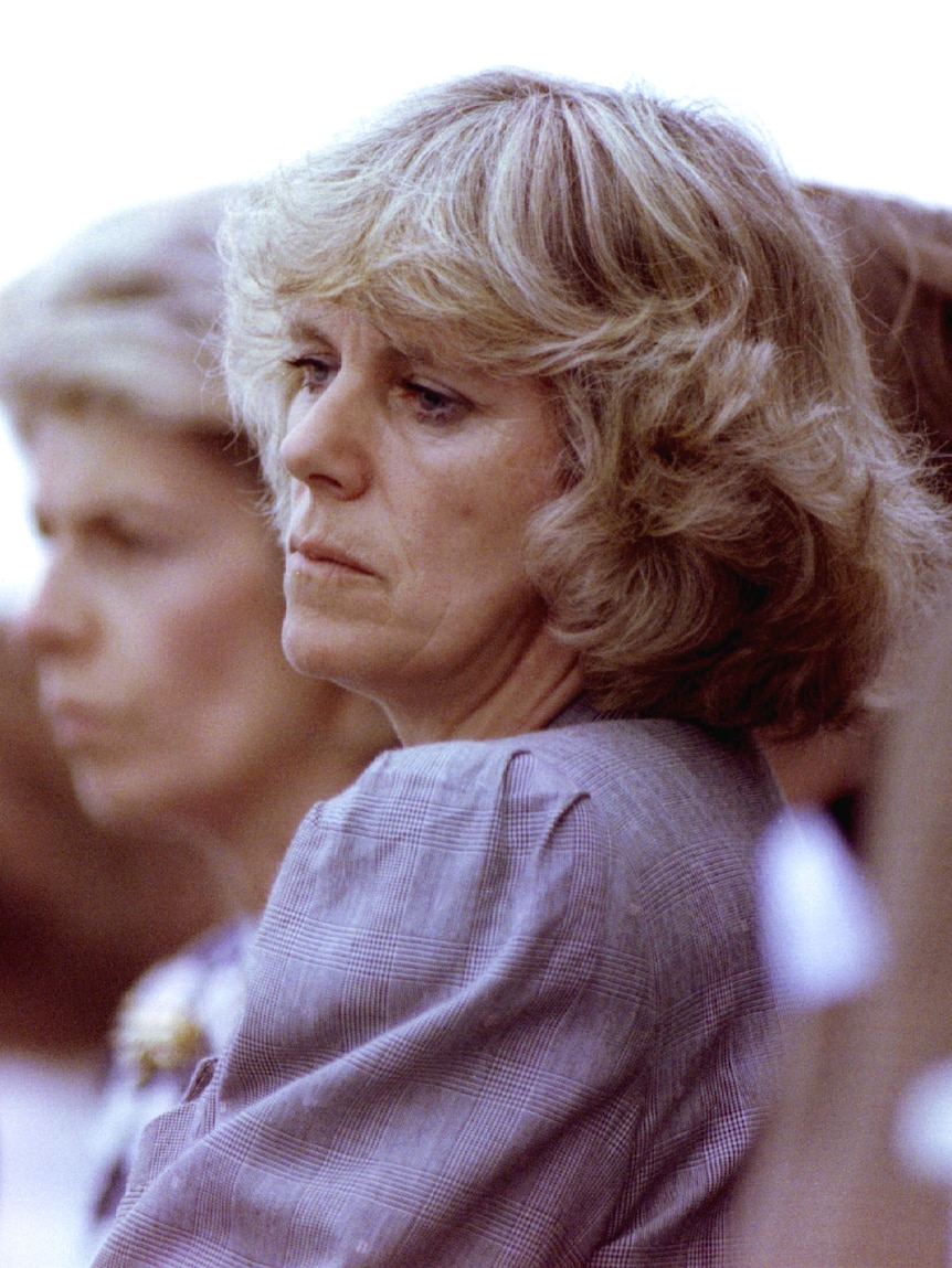 Camilla Parker Bowles frowns slightly while wearing a pale purple blouse