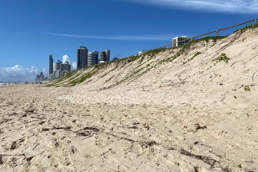 Beach at Narrowneck, looking south towards Surfers Paradise high-rises.